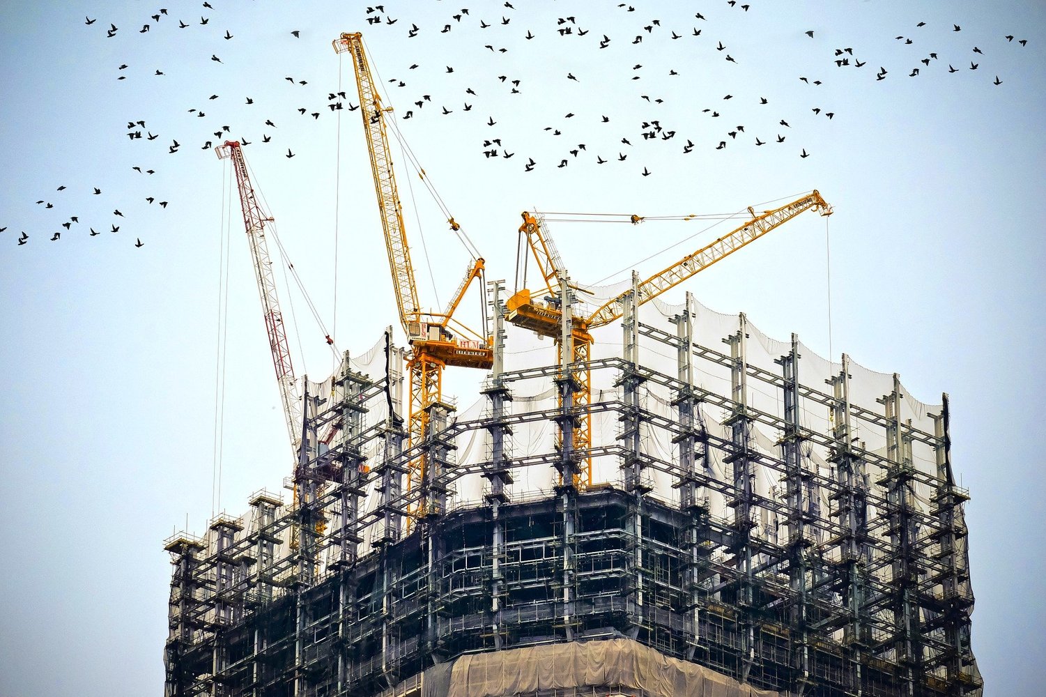 Générer des rapports d’interventions avec Ermeo