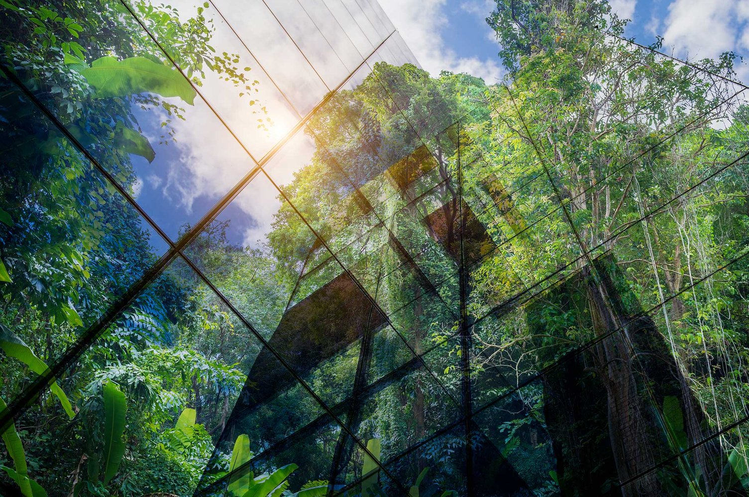 Kier joins pioneering project to develop embodied carbon calculation solution