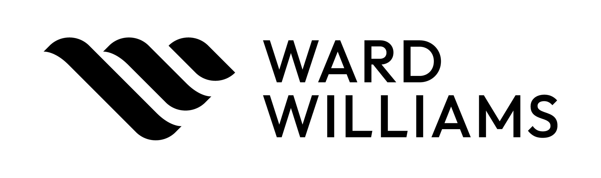 Ward Williams  - Deconstructing Digital