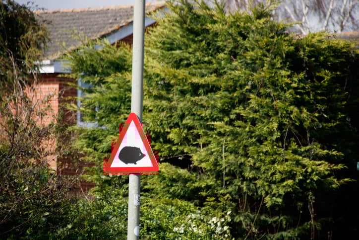 New DfT wildlife warning sign available in Causeway SignPlot from day one