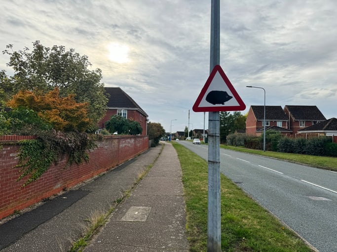 Holly the Hedgehog hits Causeway SignPlot in record time