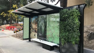 Case Study: Causeway Alloy drives proactive maintenance of City of Ryde green bus shelters