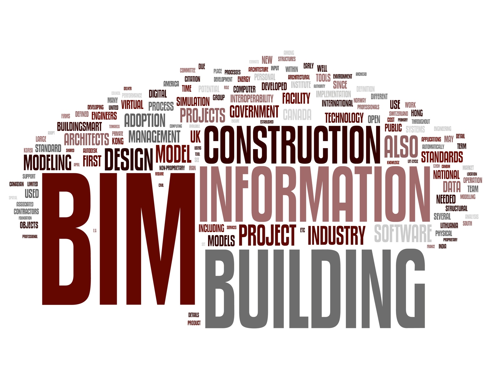 Big Bad BIM: “What Big ‘I’s You Have...”