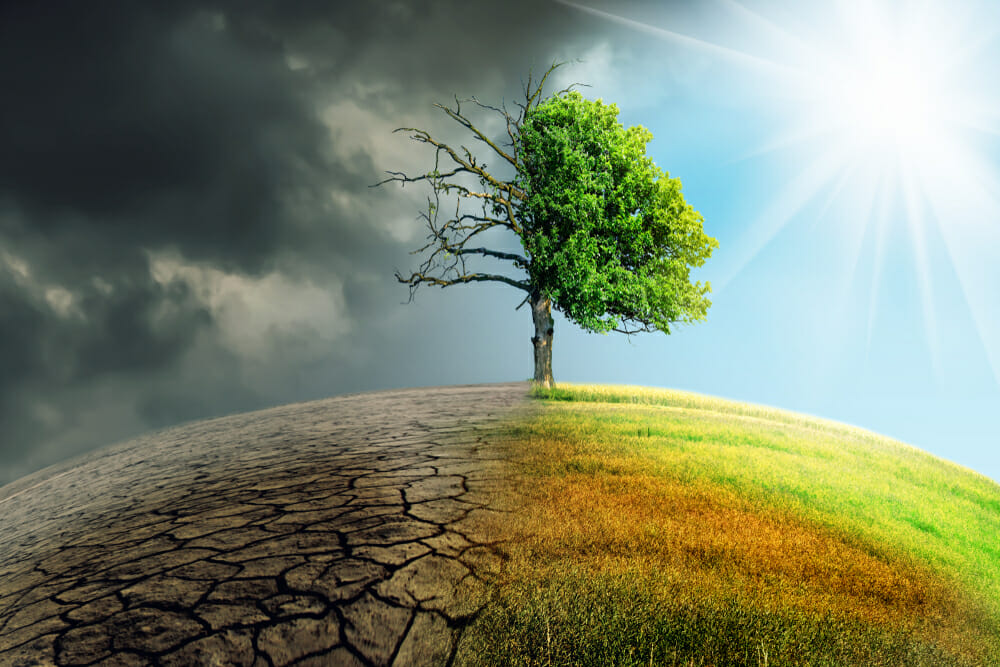 Climate change crisis within UK local authorities