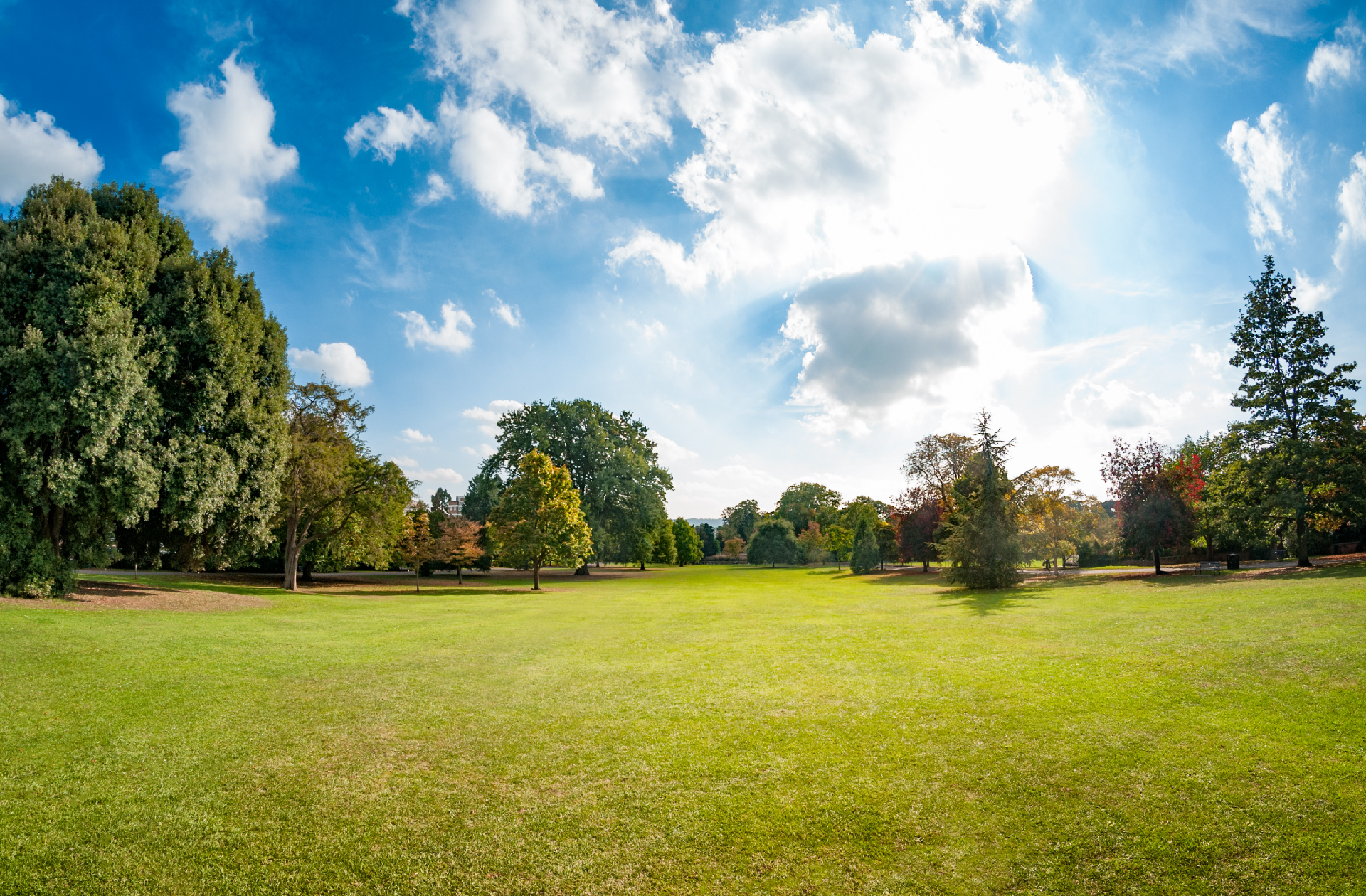 How local authorities can protect and maintain green spaces now - and through the recovery