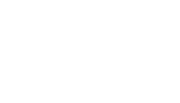 Amey_logo_white