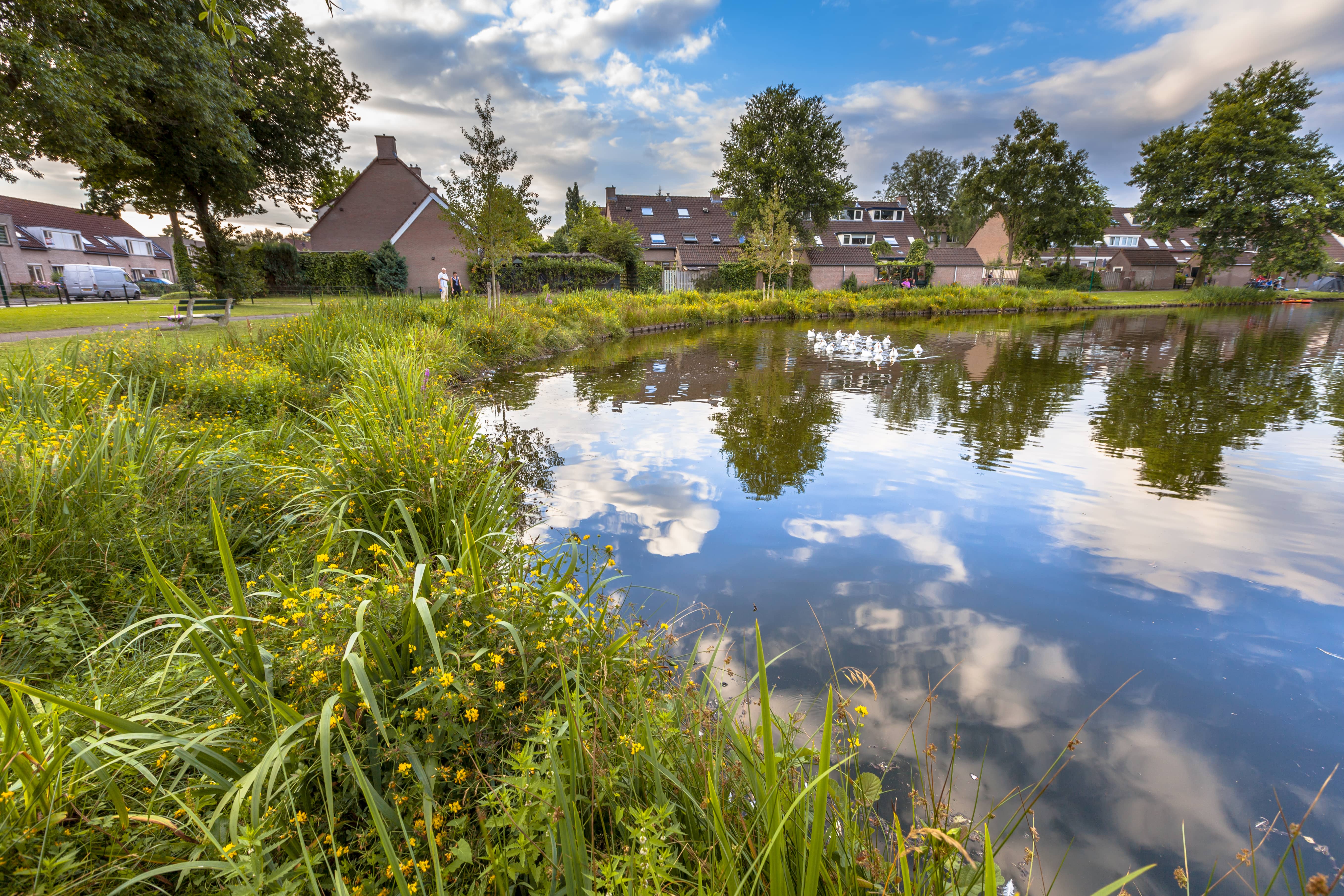 SuDS Pond Design